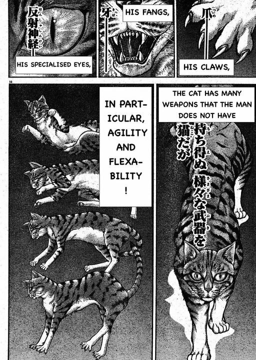 Read Hanma Baki chapter 146 image 9 on Lezhin