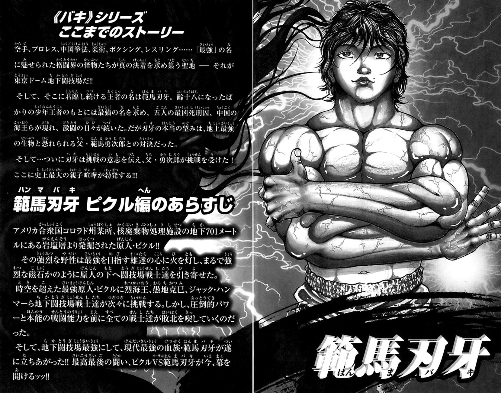 Read Hanma Baki chapter 158 image 10 on Lezhin