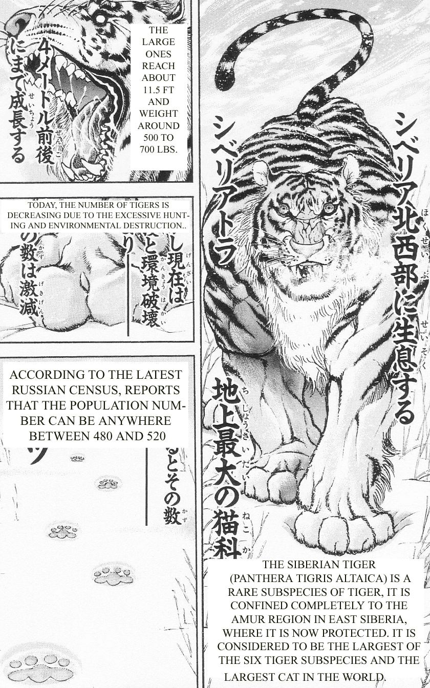Read Hanma Baki chapter 92 image 4 on Lezhin