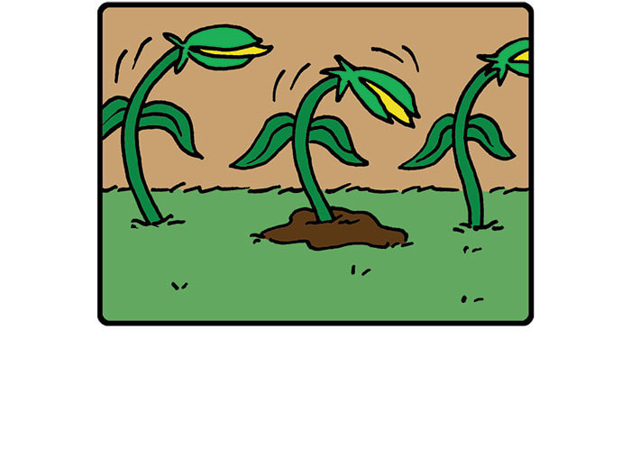 Read Hapi Nabi! chapter 15 image 4 on Lezhin