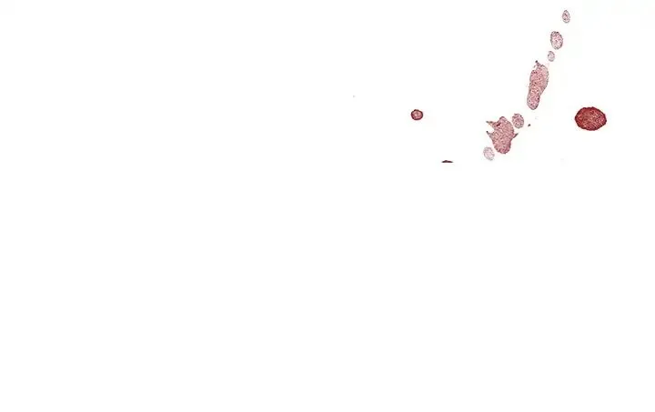 Read Happening chapter 5 image 115 on Lezhin