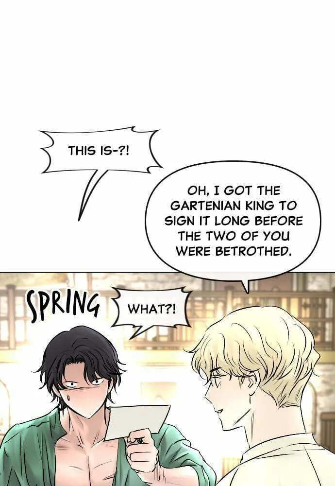 Read Happily Ever Afterwards chapter 48 image 66 on Lezhin
