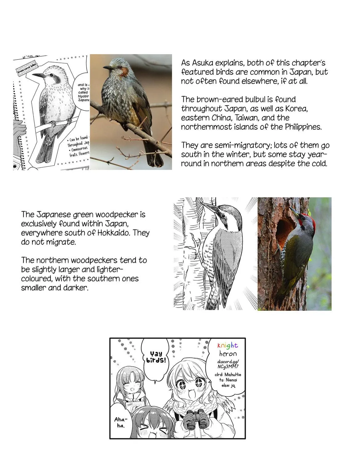 Happiness Bird Within You. Chapter 15 page 19 - 