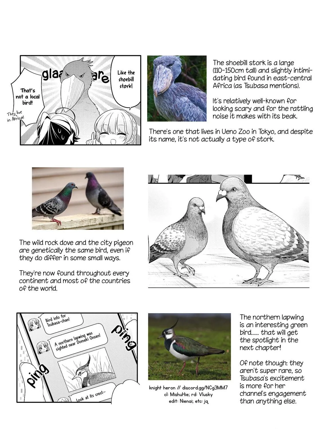 Happiness Bird Within You. Chapter 17 page 17 - 