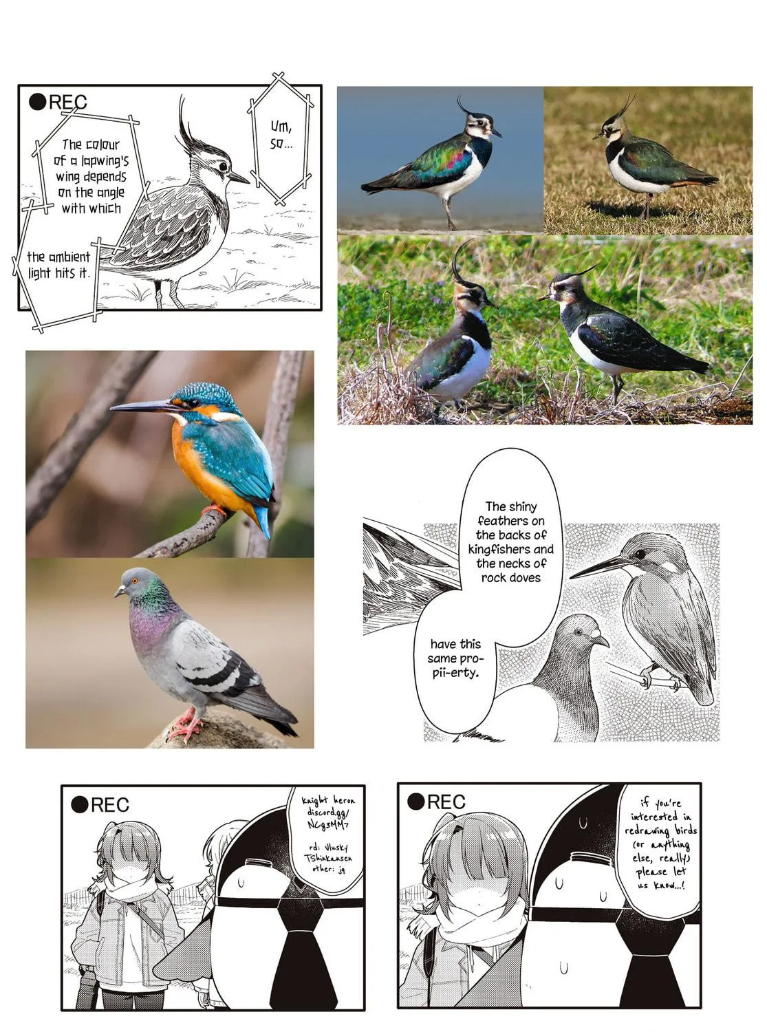 Happiness Bird Within You. Chapter 18 page 17 - 