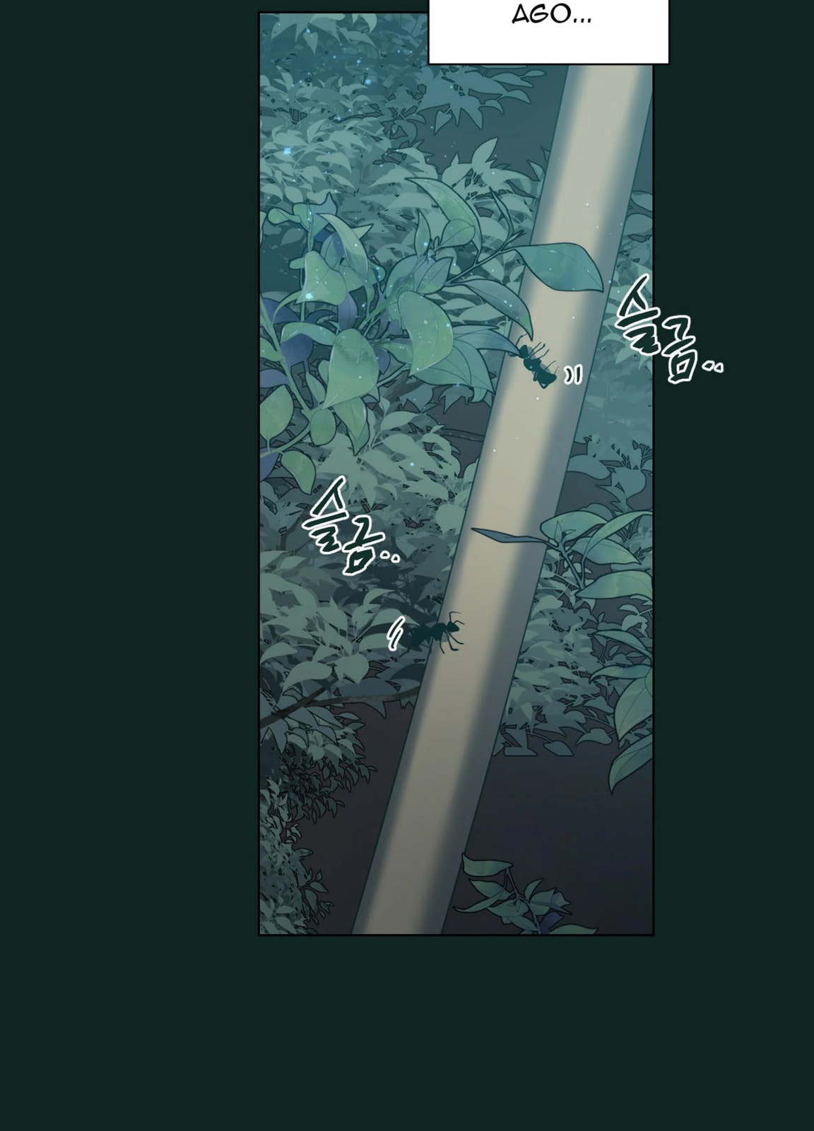 Read Happiness Rides a Broomstick chapter 48 image 7 on Lezhin