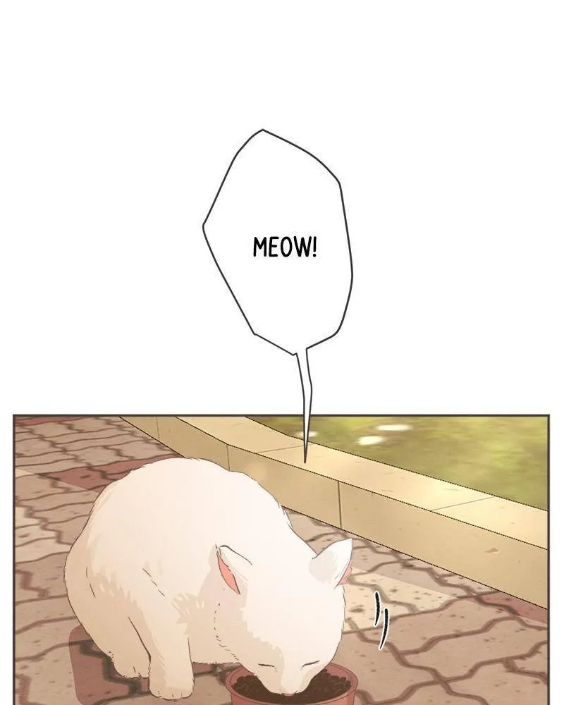 Read Happy Summer Dream chapter 1 image 168 on Lezhin