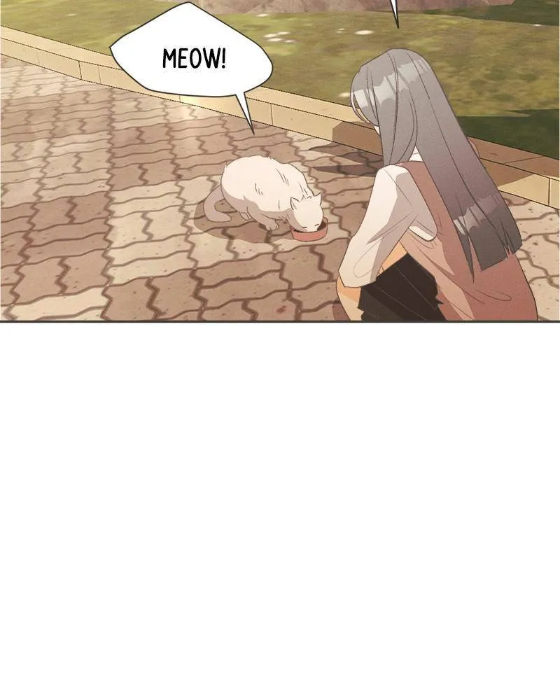 Read Happy Summer Dream chapter 1 image 170 on Lezhin