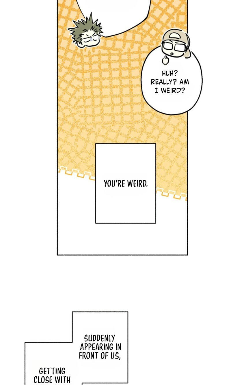 Happy Twogether Chapter 32 page 34 - 