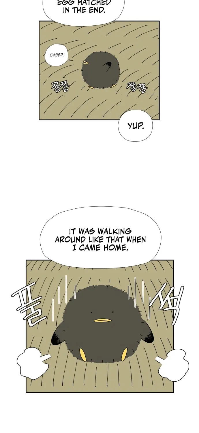 Read Hard Line (Colored) chapter 20 image 26 on Lezhin