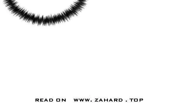 Read Hardcore Leveling Warrior chapter 281 image 12 on Lezhin