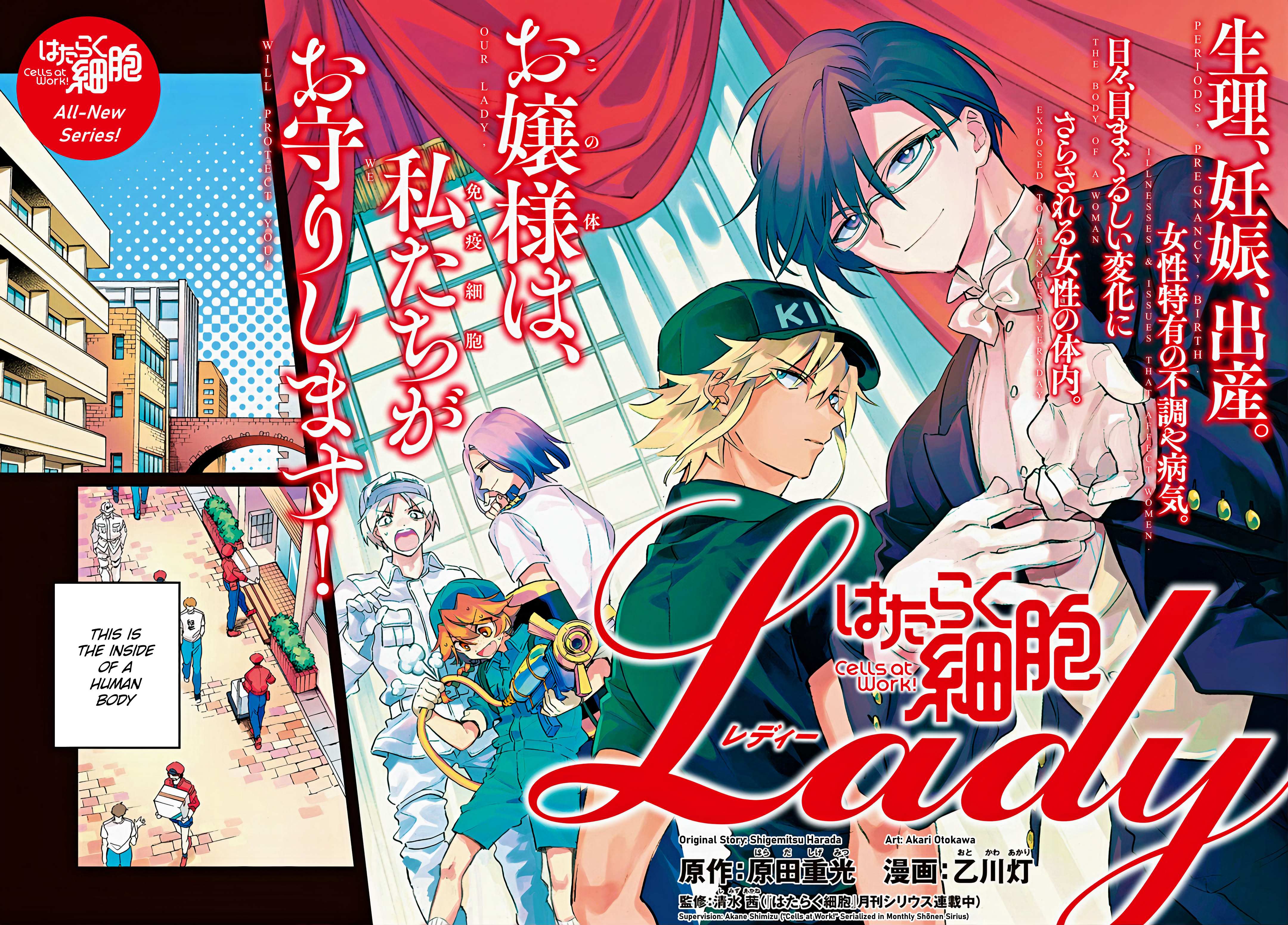 Read Hataraku Saibou LADY chapter 1 image 6 on Lezhin