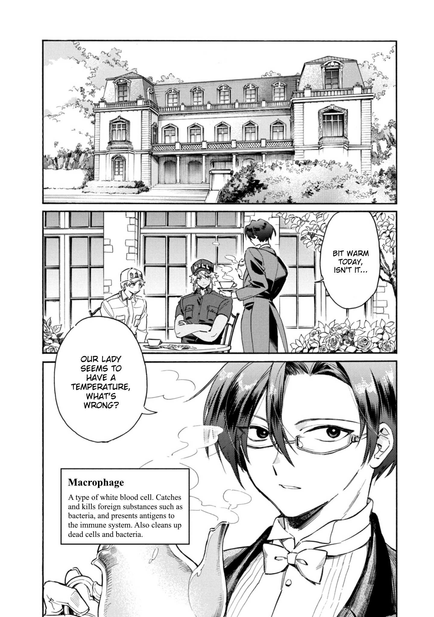 Read Hataraku Saibou LADY chapter 2 image 1 on Lezhin