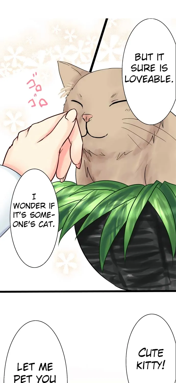 Read Hato Café chapter 10 image 11 on Lezhin