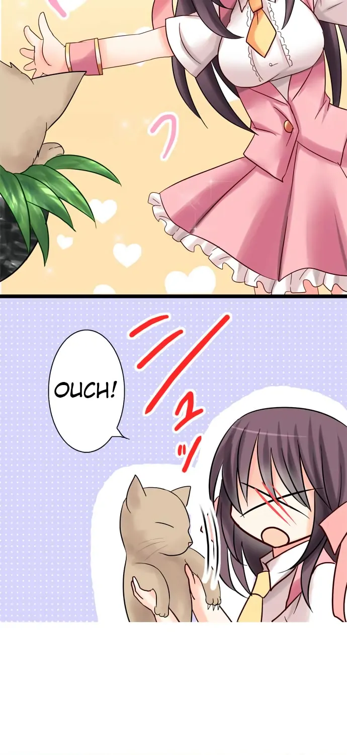 Read Hato Café chapter 10 image 13 on Lezhin