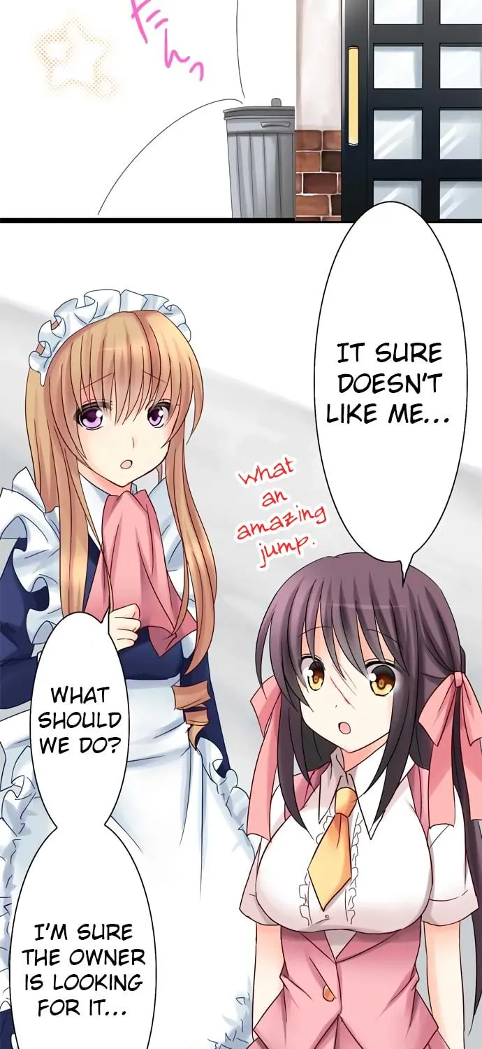 Read Hato Café chapter 10 image 17 on Lezhin