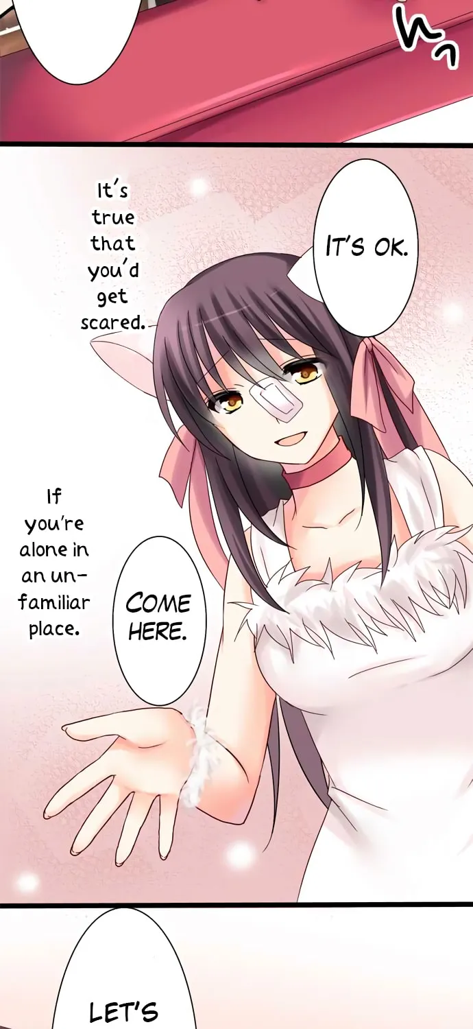 Read Hato Café chapter 10 image 31 on Lezhin