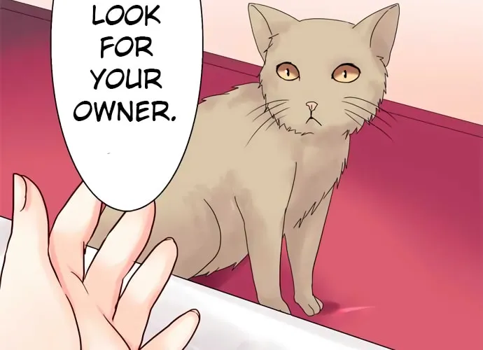 Read Hato Café chapter 10 image 32 on Lezhin