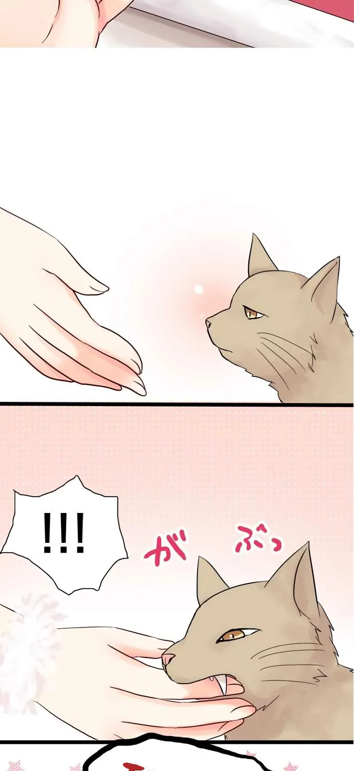 Read Hato Café chapter 10 image 33 on Lezhin