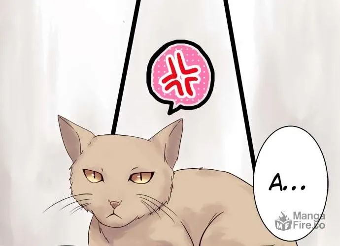 Read Hato Café chapter 10 image 4 on Lezhin