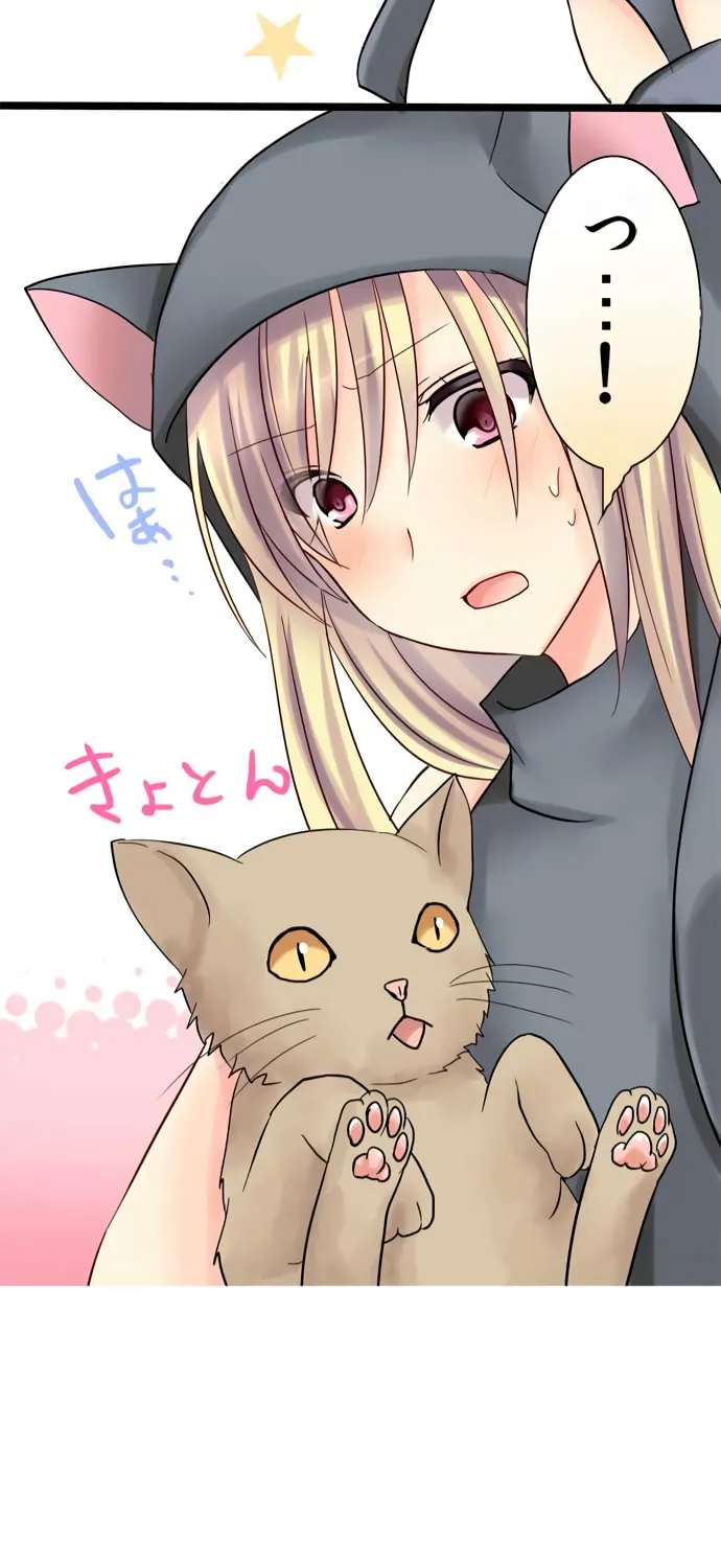 Read Hato Café chapter 10 image 41 on Lezhin