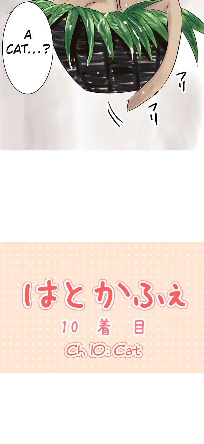 Read Hato Café chapter 10 image 5 on Lezhin