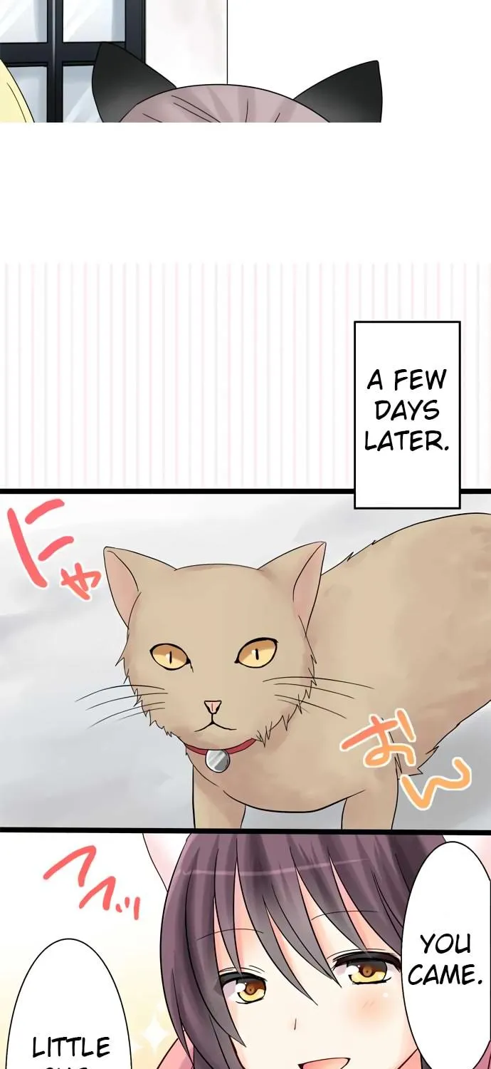 Read Hato Café chapter 10 image 51 on Lezhin