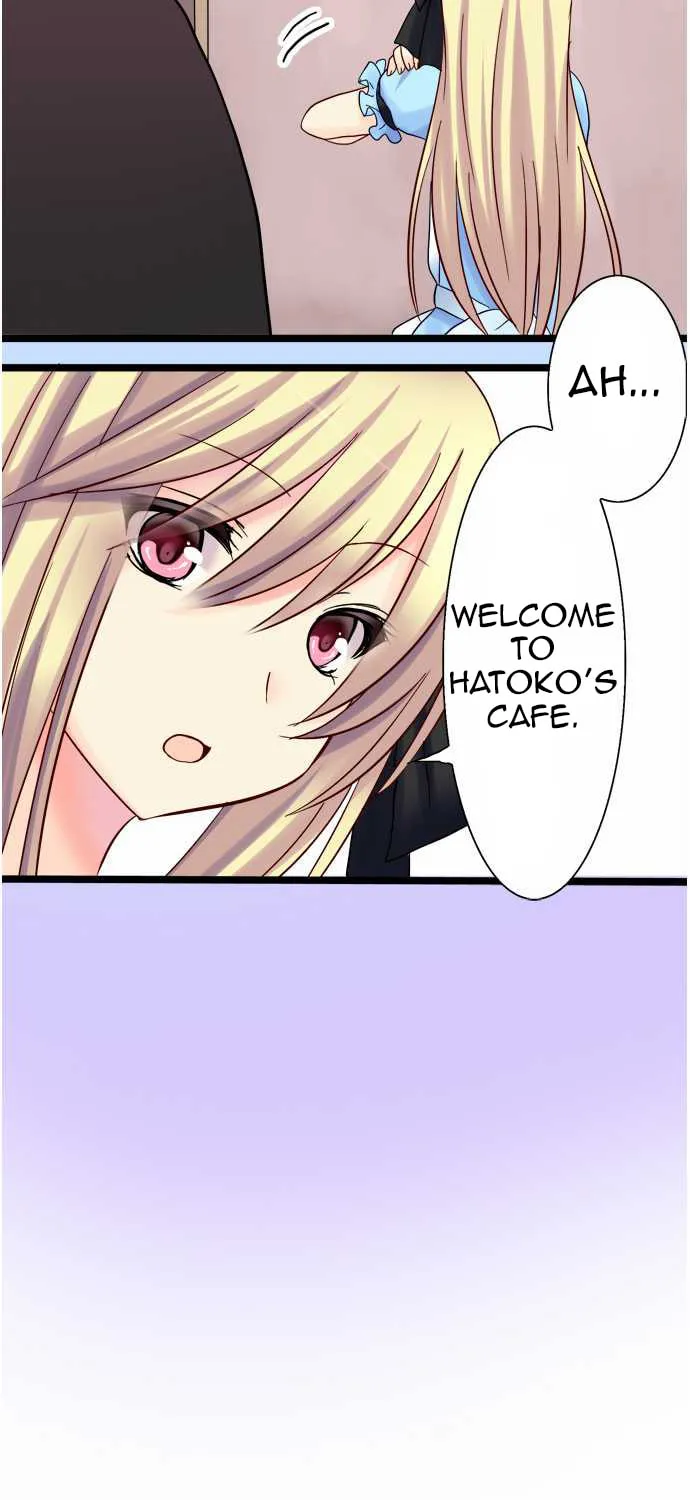 Read Hato Café chapter 7 image 35 on Lezhin