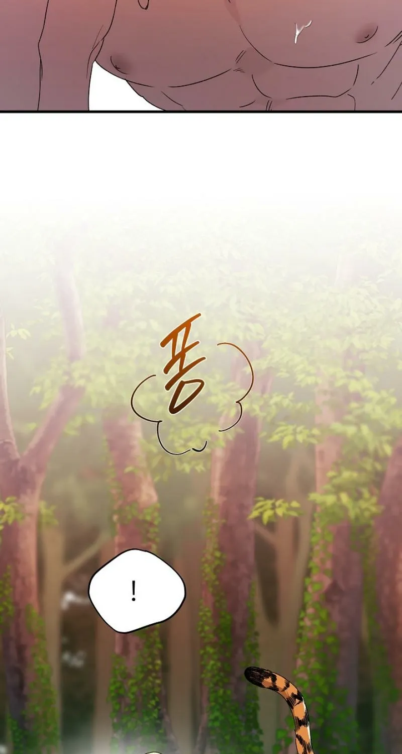 Read He Is the Tiger chapter 24 image 86 on Lezhin