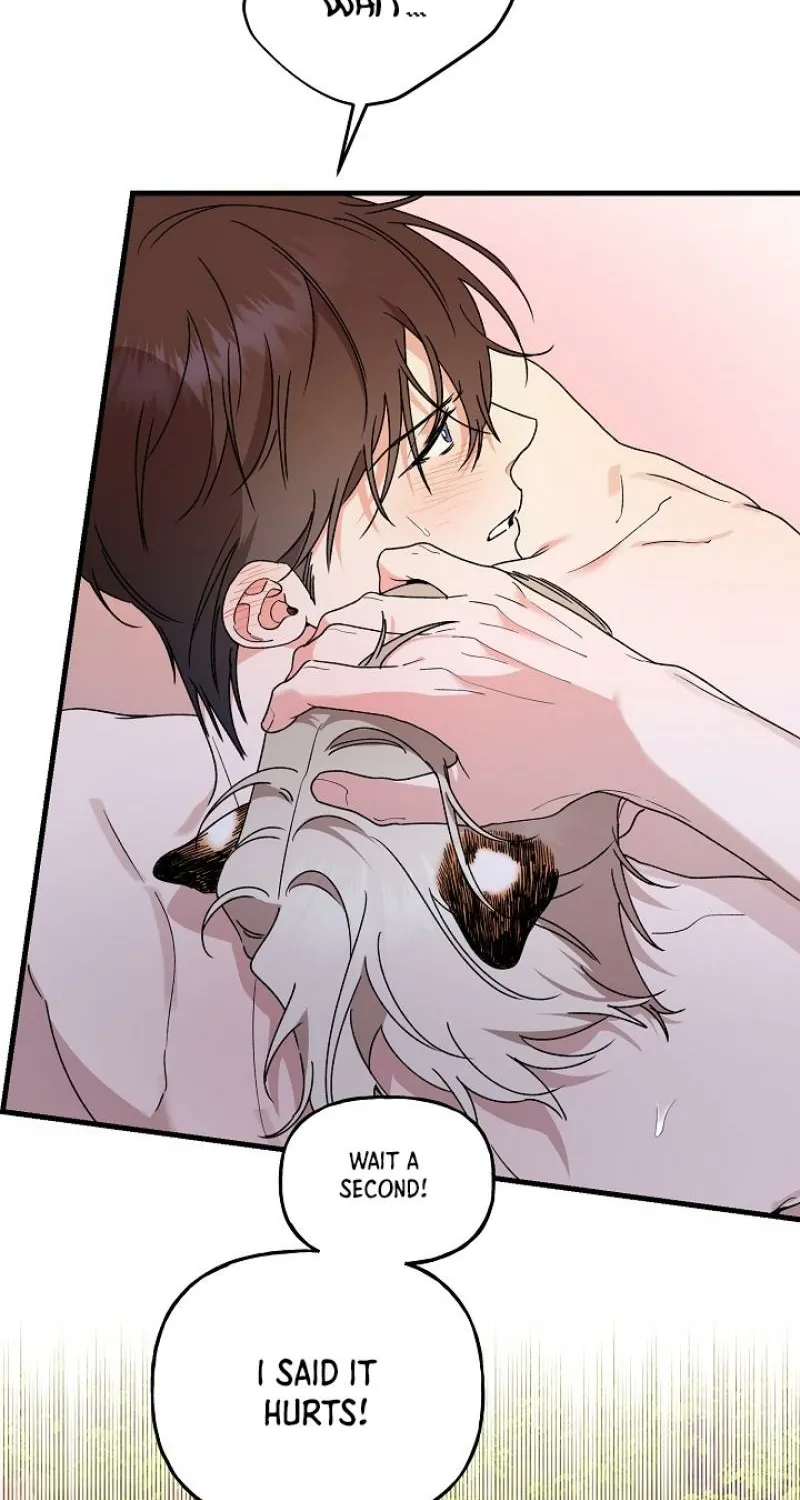 Read He Is the Tiger chapter 25 image 2 on Lezhin