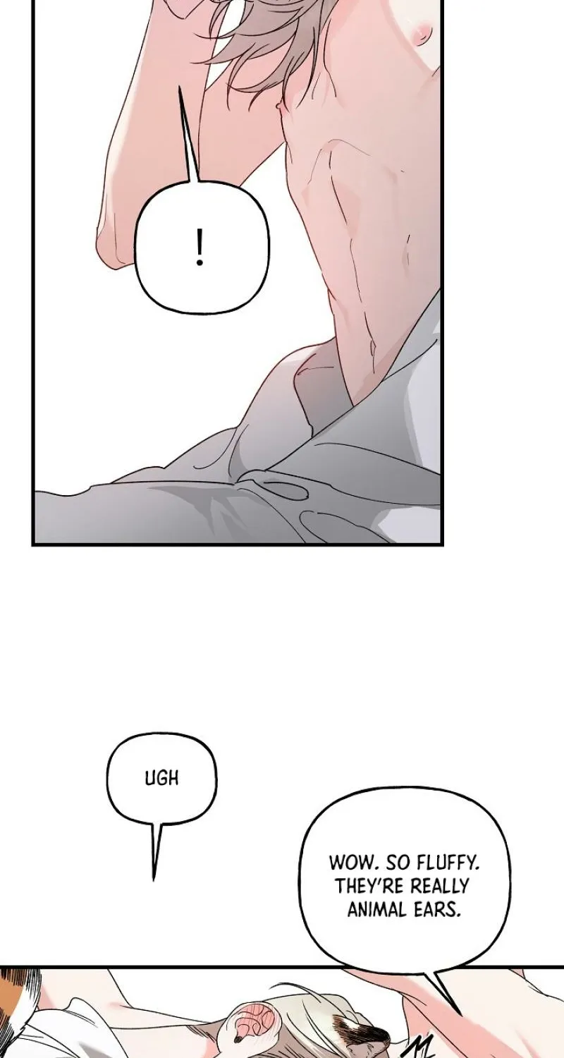 Read He Is the Tiger chapter 25 image 59 on Lezhin