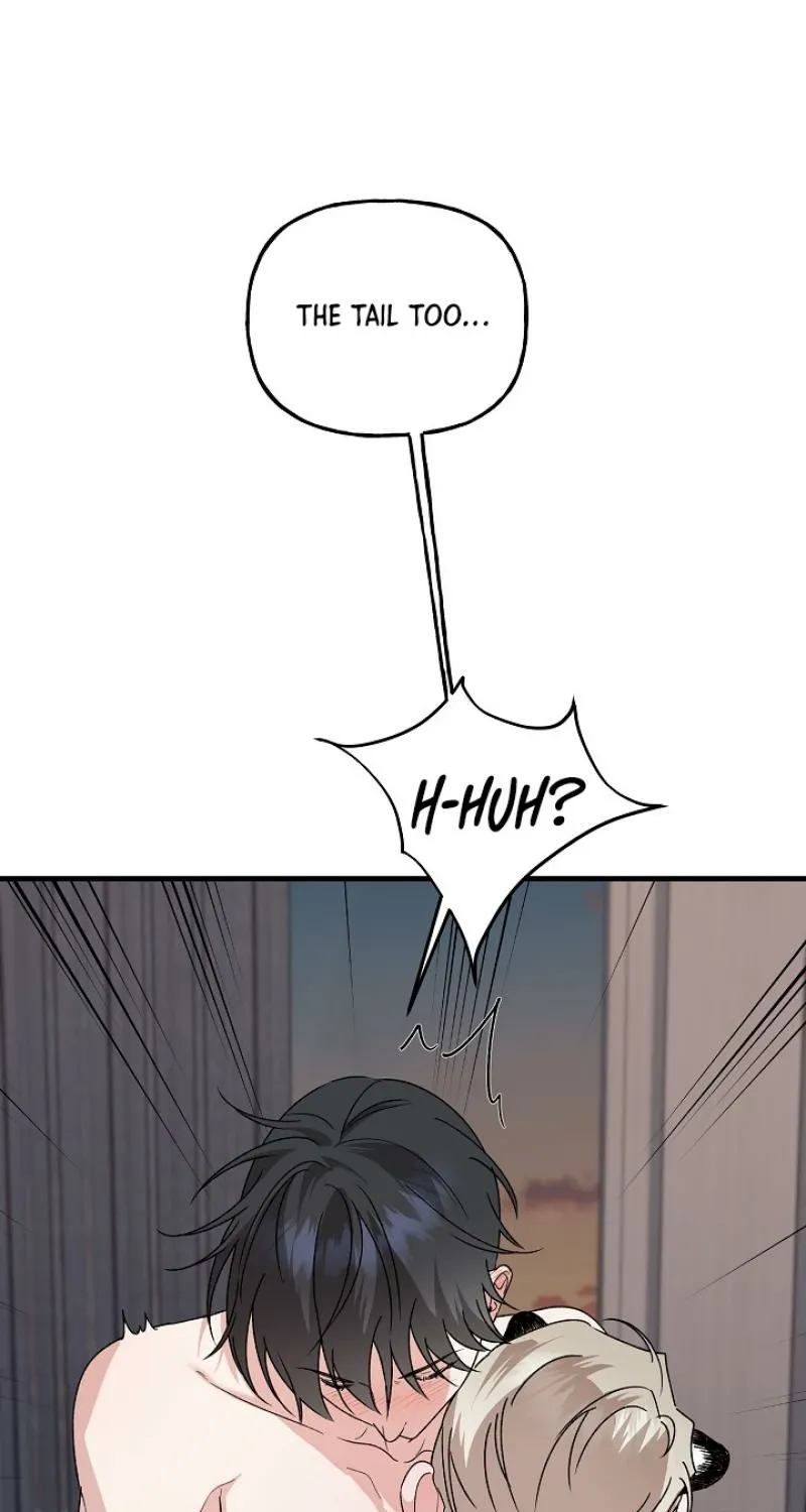Read He Is the Tiger chapter 25 image 61 on Lezhin