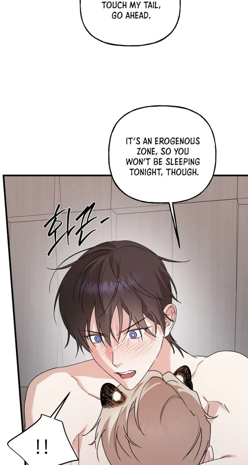 Read He Is the Tiger chapter 25 image 65 on Lezhin