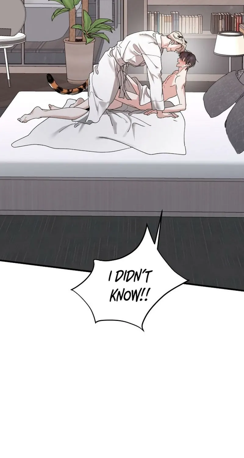 Read He Is the Tiger chapter 25 image 70 on Lezhin