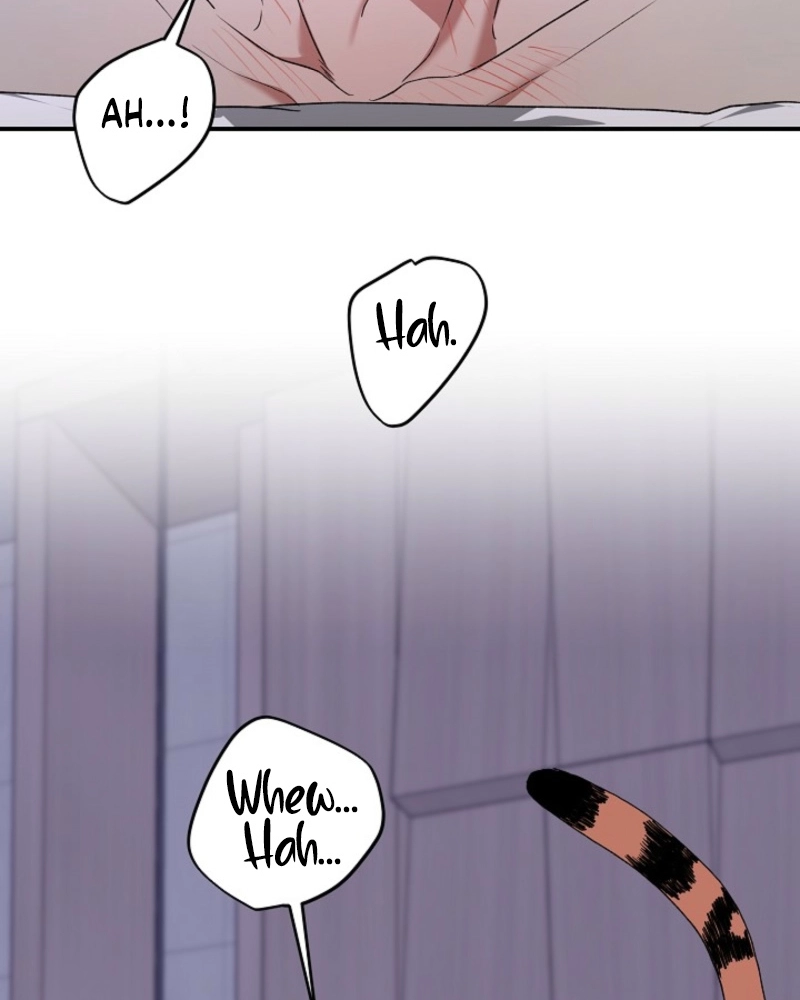 Read He Is the Tiger chapter 35 image 37 on Lezhin