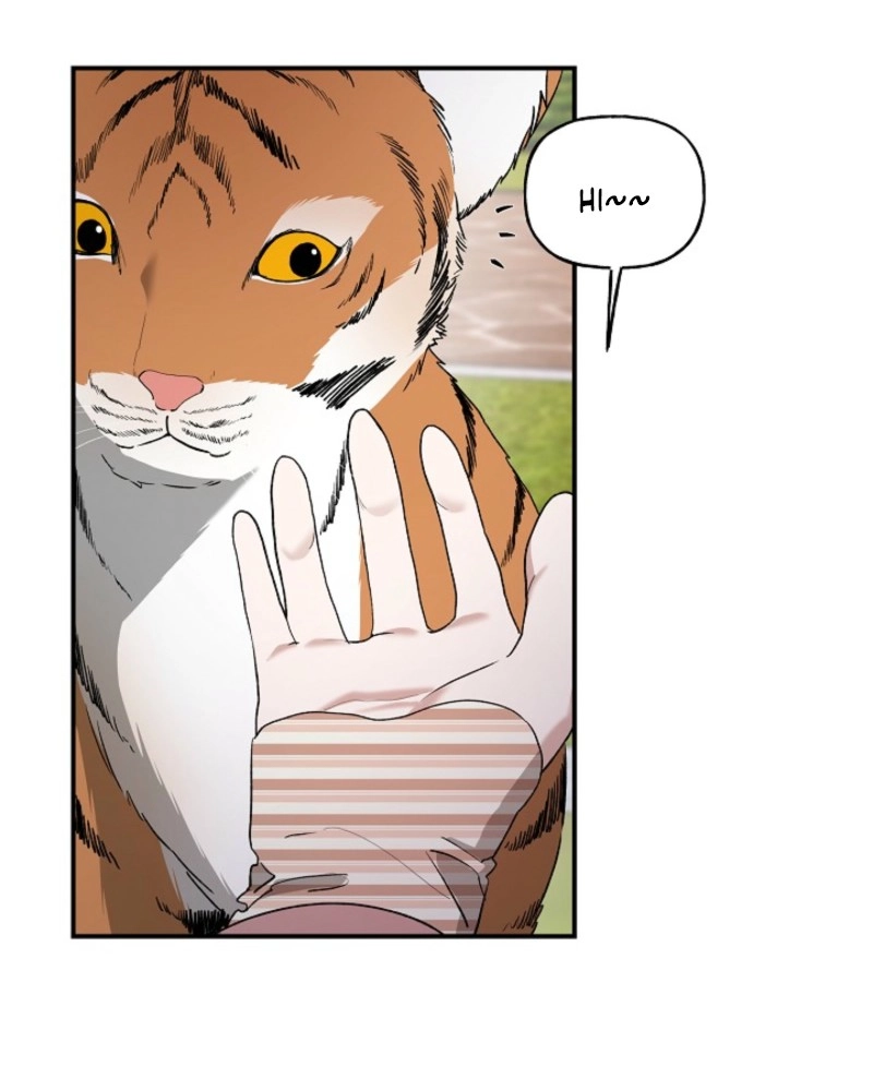 Read He Is the Tiger chapter 37 image 6 on Lezhin