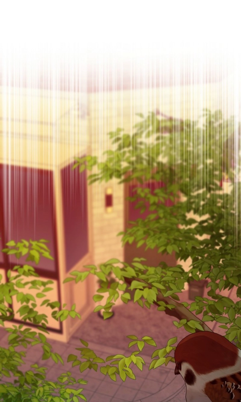 Read He Is the Tiger chapter 40 image 6 on Lezhin