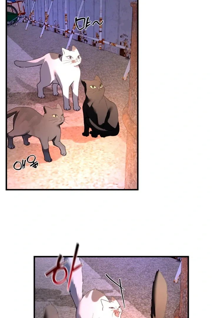 Read He Is the Tiger chapter 6 image 88 on Lezhin