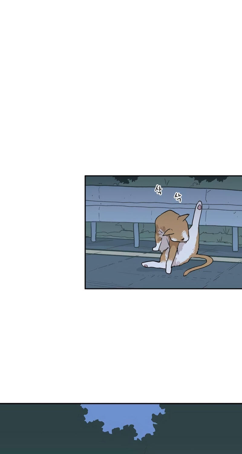 Read Heart-Aching chapter 13 image 38 on Lezhin