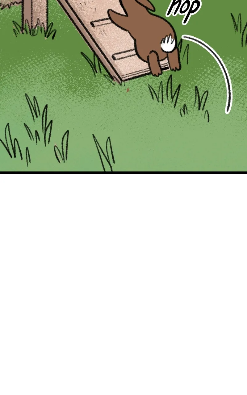Read Heart Acres chapter 51 image 66 on Lezhin