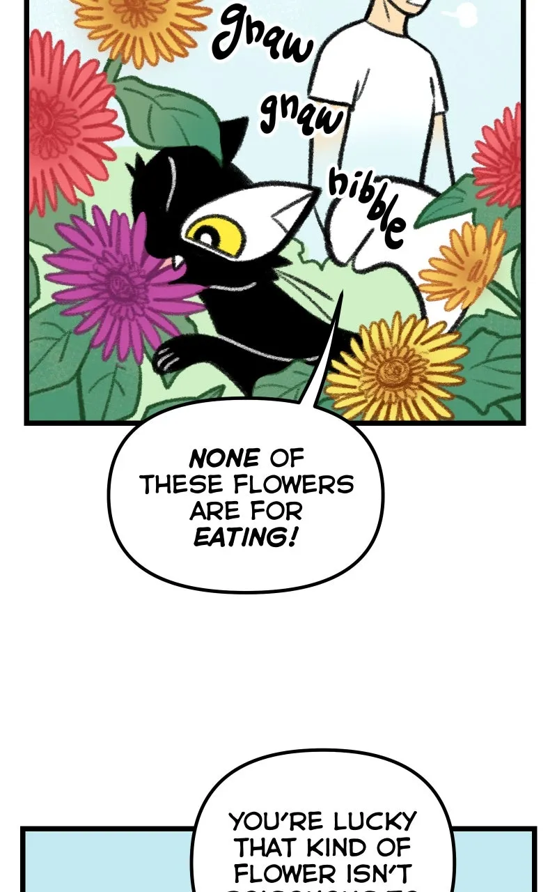 Read Heart Acres chapter 6 image 5 on Lezhin