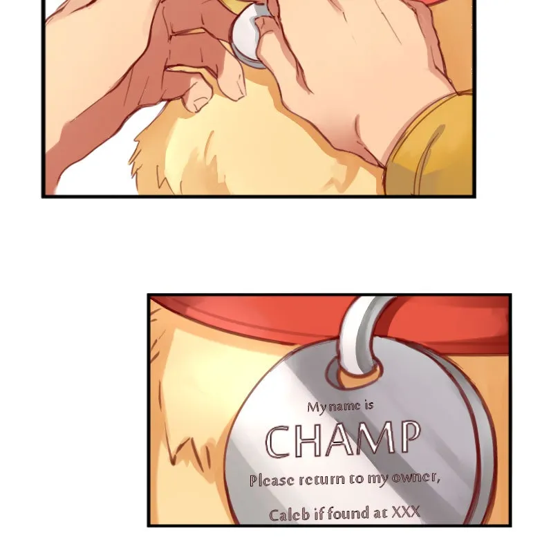 Read HEART Anthology chapter 87 image 33 on Lezhin