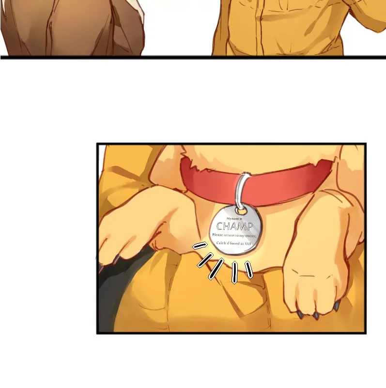 Read HEART Anthology chapter 87 image 39 on Lezhin