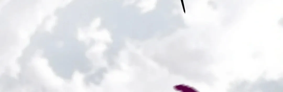 Read Heavenly Moon chapter 143 image 135 on Lezhin