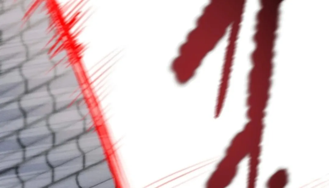Read Heavenly Moon chapter 168 image 241 on Lezhin