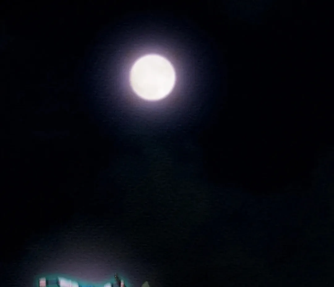 Read Heavenly Moon chapter 69 image 48 on Lezhin