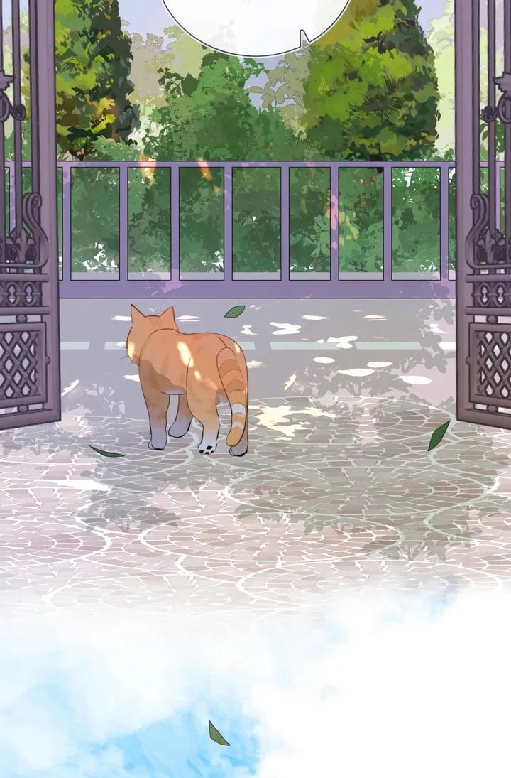 Read Heliotrope & Ziz chapter 10 image 13 on Lezhin