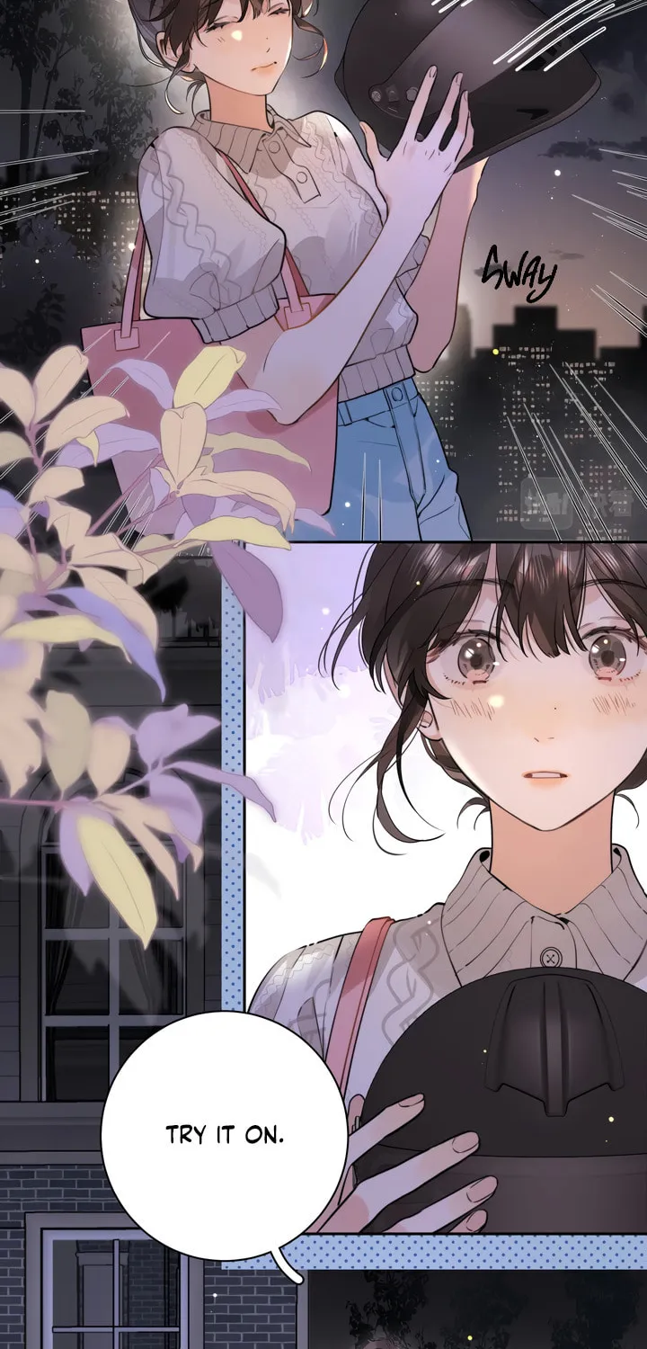 Read Heliotrope & Ziz chapter 13 image 24 on Lezhin