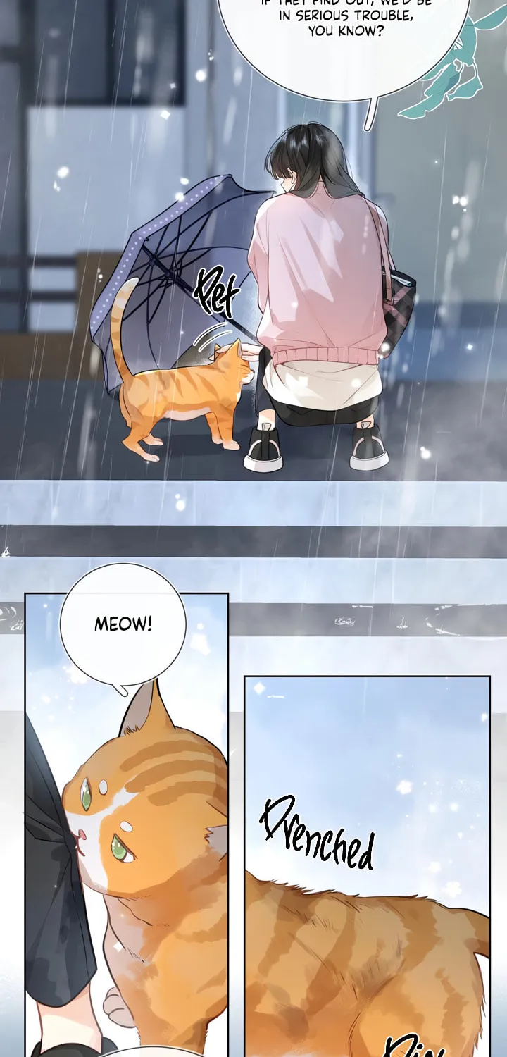 Read Heliotrope & Ziz chapter 15 image 28 on Lezhin