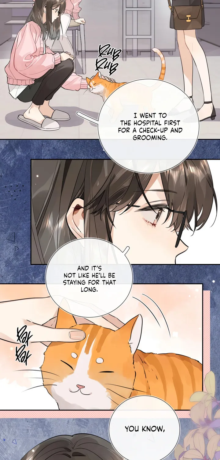 Read Heliotrope & Ziz chapter 16 image 10 on Lezhin